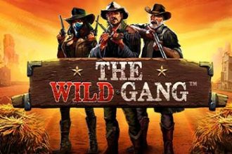 The Wild Gang